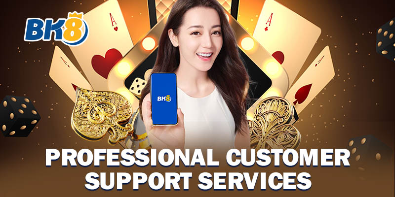 Professional Customer Support Services